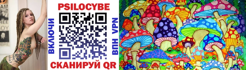 Купить закладки  Углегорск  Псилоцибиновые грибы Psilocybe 